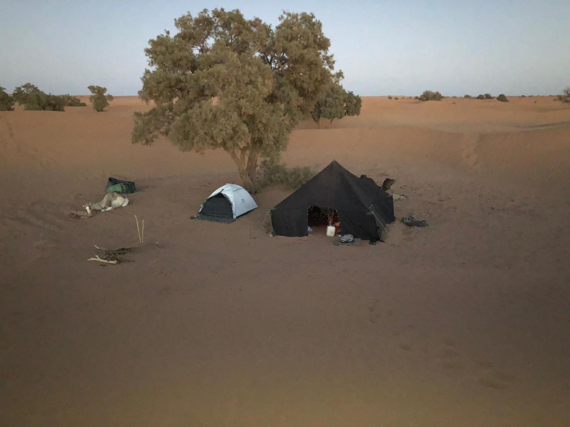 Hotel Nomads Life Style à M'Hamid El Ghizlane Extérieur photo